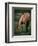 Horse in Field-Trey Ratcliff-Framed Photographic Print