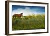 Horse in Flowers I-Chris Vest-Framed Photographic Print