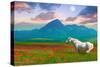 Horse in Flowers II-Chris Vest-Stretched Canvas