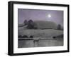 Horse in Moonlight, 2005-Ann Brain-Framed Giclee Print