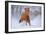 Horse in Snow-Lantern Press-Framed Art Print