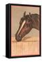 Horse in Stable-null-Framed Stretched Canvas