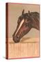 Horse in Stable-null-Stretched Canvas