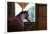 Horse in stall in rural Rappahannock County, Virginia, USA-Dennis Brack-Framed Photographic Print