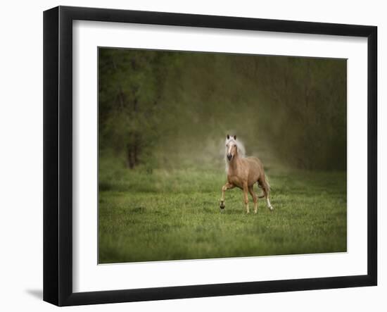 Horse in the Field II-Ozana Sturgeon-Framed Photographic Print