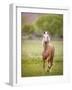 Horse in the Field VI-Ozana Sturgeon-Framed Photographic Print