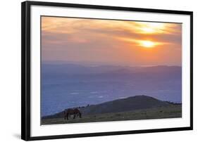 Horse in the fields, Mount Subasio, Umbria, Italy, Europe-Lorenzo Mattei-Framed Photographic Print