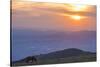 Horse in the fields, Mount Subasio, Umbria, Italy, Europe-Lorenzo Mattei-Stretched Canvas