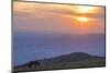 Horse in the fields, Mount Subasio, Umbria, Italy, Europe-Lorenzo Mattei-Mounted Photographic Print