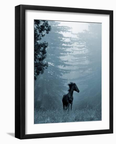 Horse in the Trees I-Susan Friedman-Framed Photographic Print