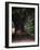 Horse in the Trees II-Susan Friedman-Framed Photographic Print