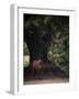 Horse in the Trees II-Susan Friedman-Framed Photographic Print