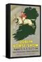 Horse Jumping over Map of Ireland-null-Framed Stretched Canvas