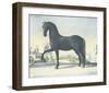 Horse Le Napolitain-null-Framed Art Print