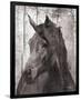 Horse Lemuse-null-Framed Premium Giclee Print