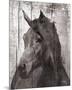 Horse Lemuse-null-Mounted Premium Giclee Print