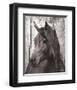 Horse Lemuse-null-Framed Art Print