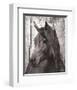 Horse Lemuse-null-Framed Art Print