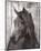 Horse Lemuse-null-Mounted Art Print