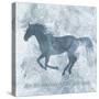 Horse Live-Erin Clark-Stretched Canvas