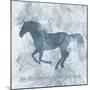 Horse Live-Erin Clark-Mounted Giclee Print