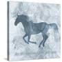 Horse Live-Erin Clark-Stretched Canvas