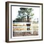 Horse Look-Milli Villa-Framed Art Print