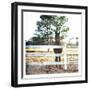 Horse Look-Milli Villa-Framed Art Print