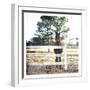 Horse Look-Milli Villa-Framed Art Print