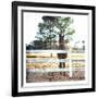 Horse Look-Milli Villa-Framed Art Print