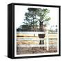 Horse Look-Milli Villa-Framed Stretched Canvas