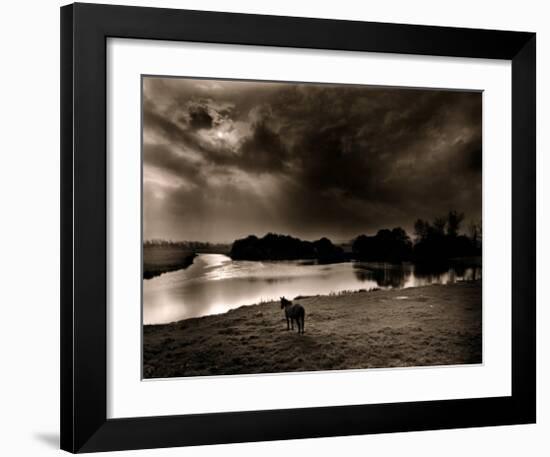 Horse Looking at the river, Normandie 99-Olivier Meriel-Framed Art Print