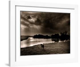 Horse Looking at the river, Normandie 99-Olivier Meriel-Framed Art Print