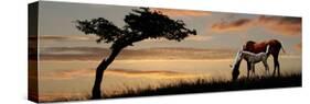 Horse Mare and a Foal Grazing by Tree at Sunset-null-Stretched Canvas