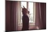 Horse Mask Man in Front of Window at Home-Eugenio Marongiu-Mounted Photographic Print