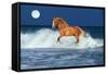 Horse Moon-Bob Langrish-Framed Stretched Canvas