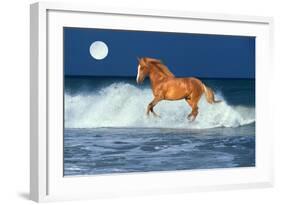 Horse Moon-Bob Langrish-Framed Photographic Print