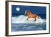 Horse Moon-Bob Langrish-Framed Photographic Print