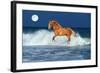 Horse Moon-Bob Langrish-Framed Photographic Print