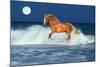 Horse Moon-Bob Langrish-Mounted Photographic Print