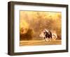 Horse Motion III-null-Framed Photographic Print