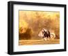 Horse Motion III-null-Framed Photographic Print