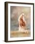 Horse Motion VII-null-Framed Photographic Print