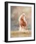 Horse Motion VII-null-Framed Photographic Print