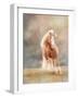 Horse Motion VII-null-Framed Photographic Print