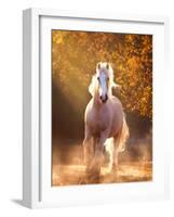 Horse Motion VIII-null-Framed Photographic Print