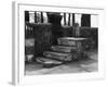 Horse Mounting Steps-null-Framed Photographic Print