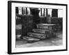 Horse Mounting Steps-null-Framed Photographic Print