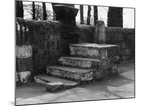 Horse Mounting Steps-null-Mounted Photographic Print