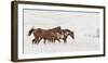 Horse Moves-Nathan Larson-Framed Photographic Print